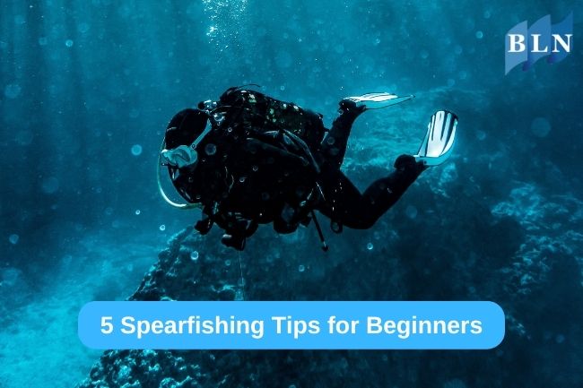 5 Spearfishing Tips for Beginners